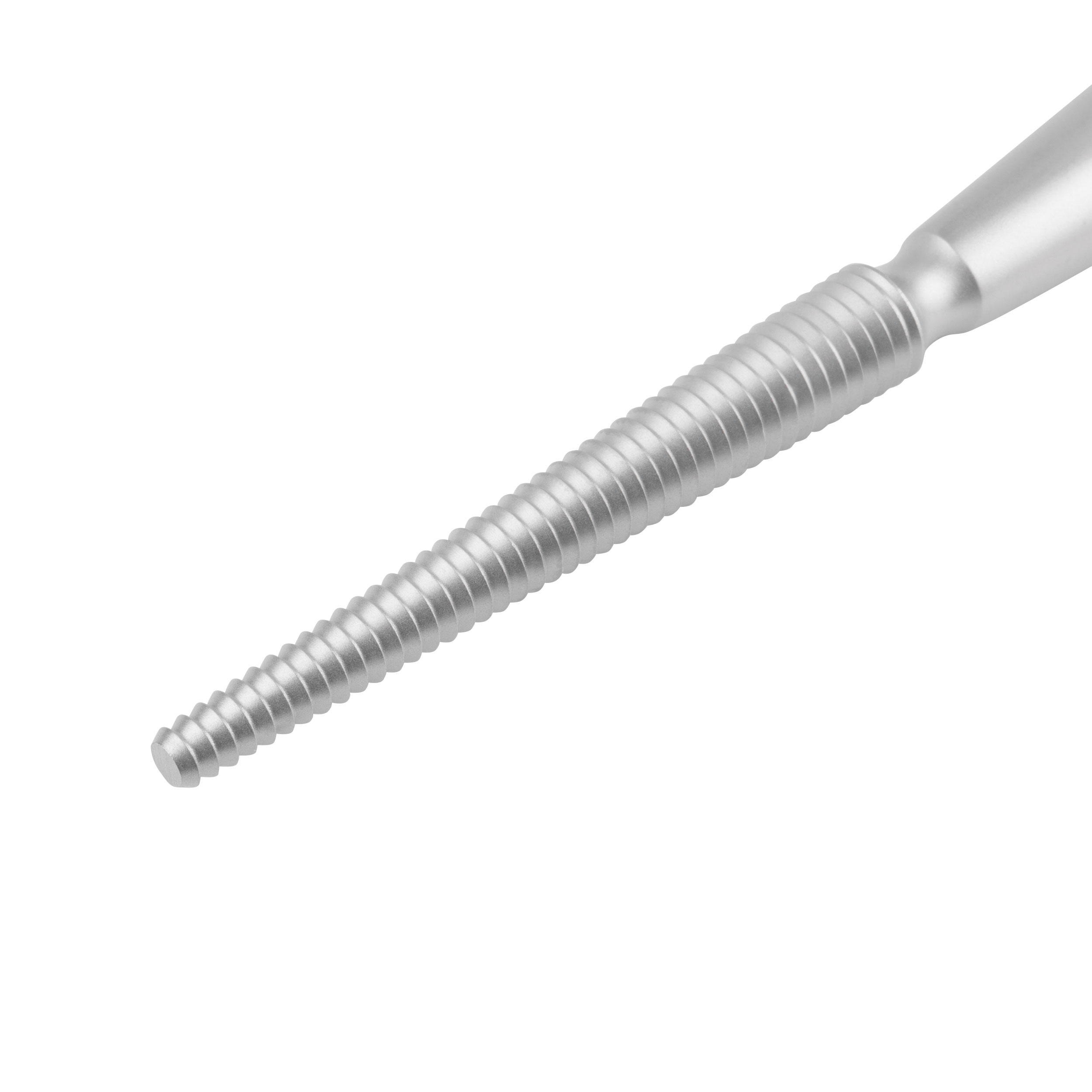 [DK]Trochlearasp, rund, nærbillede